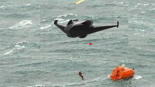 Rescue Service